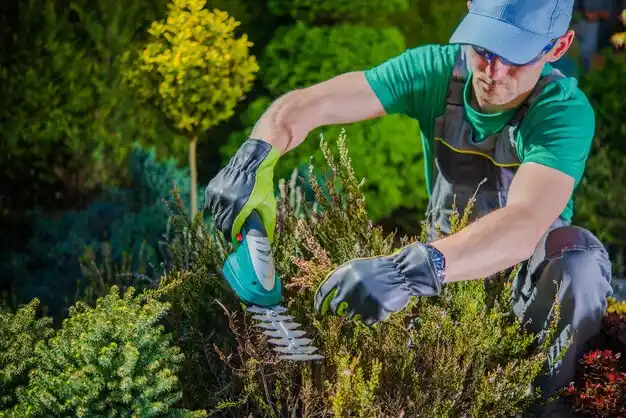 landscaping services Hewlett Harbor